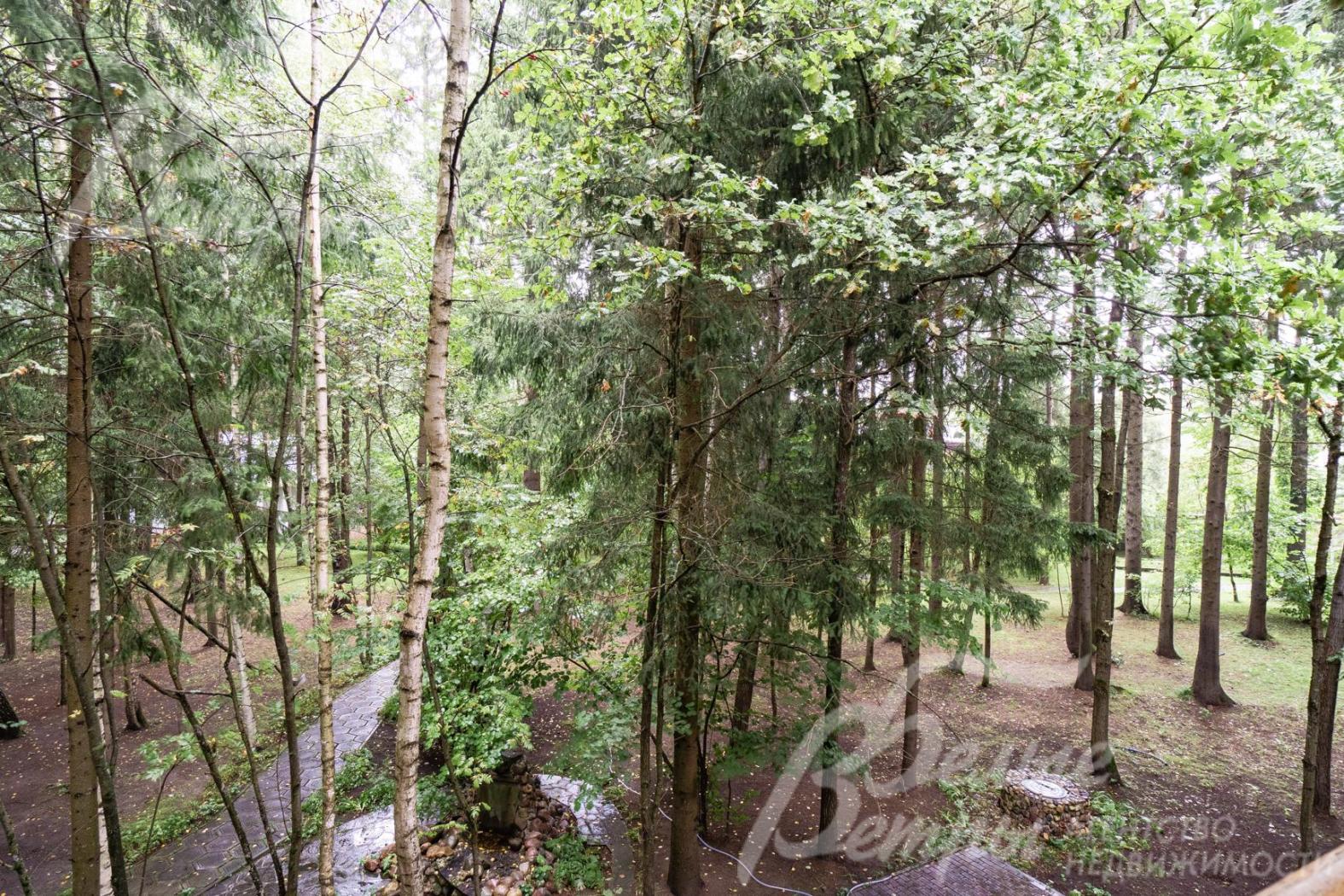 Вид с балкона