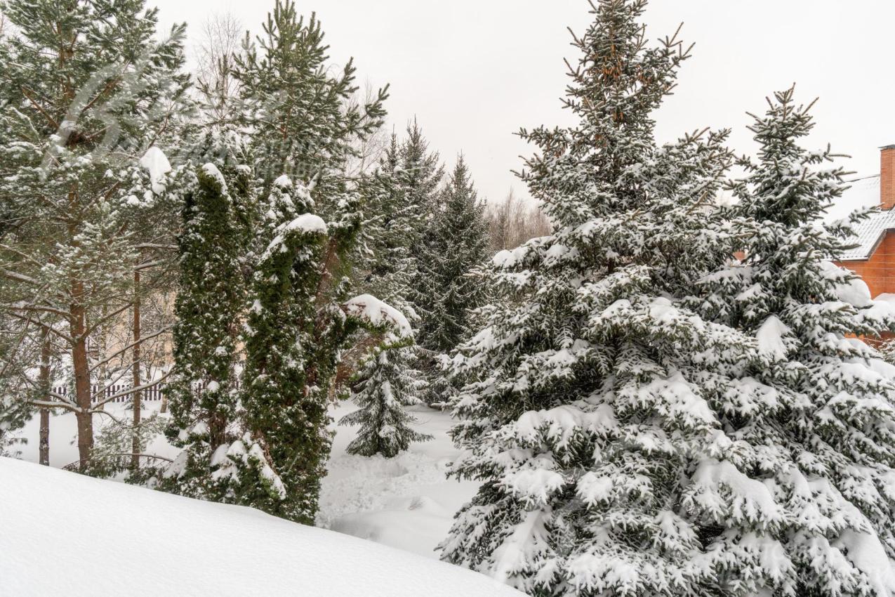 Участок находится в тихом центре коттеджного посёлка