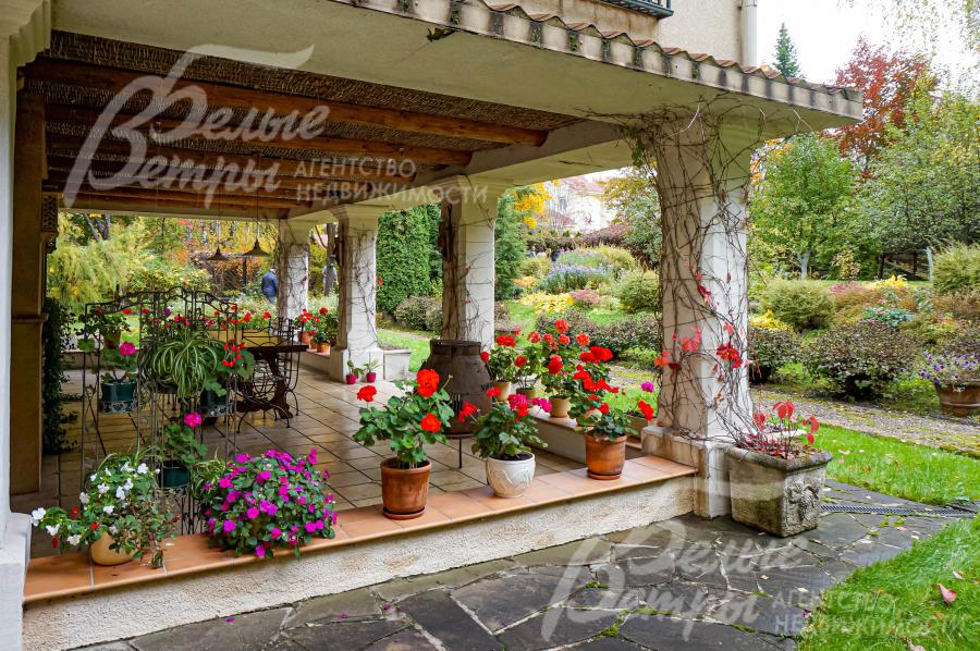 Веранда в итальянском стиле, с колоннами, увитыми диким виноградом и с многочисленными вазами с цветущими растениями