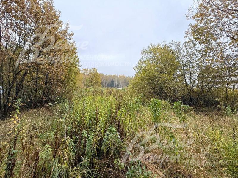 Локация считается лучшей на территории коттеджного посёлка