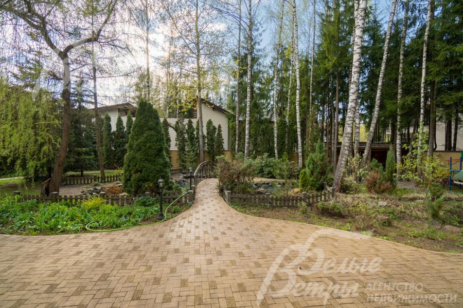 На участке высажено более 100 деревьев разных видов: 20-метровые берёзы, сосны, ели, можжевельники разных видов, ива, клён