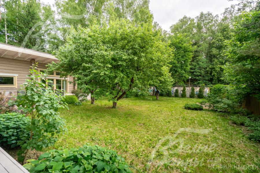 Вдоль забора высажены молодые туи. Общая площадь участка - 15 соток