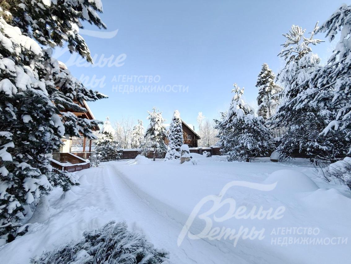 На участке растут корейская кедровая сосна, орешник, можжевельник, голубые ели