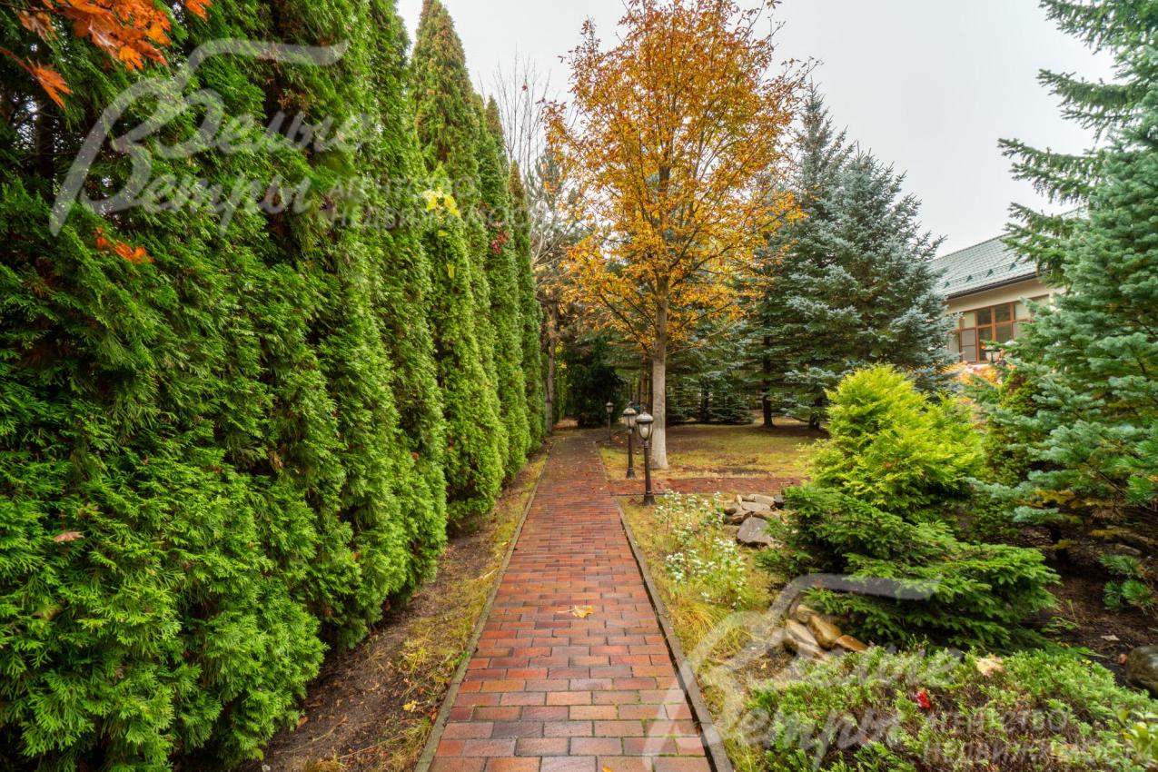 Границы участка оформлены крупномерными туями, создающими естественную ограду