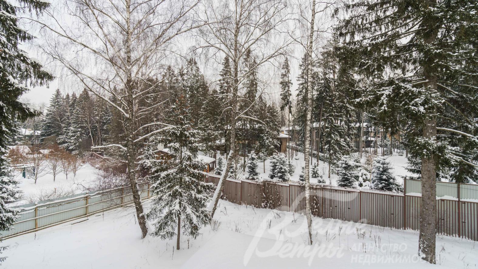 На участке высажен газон, растут взрослые деревья и кустарники