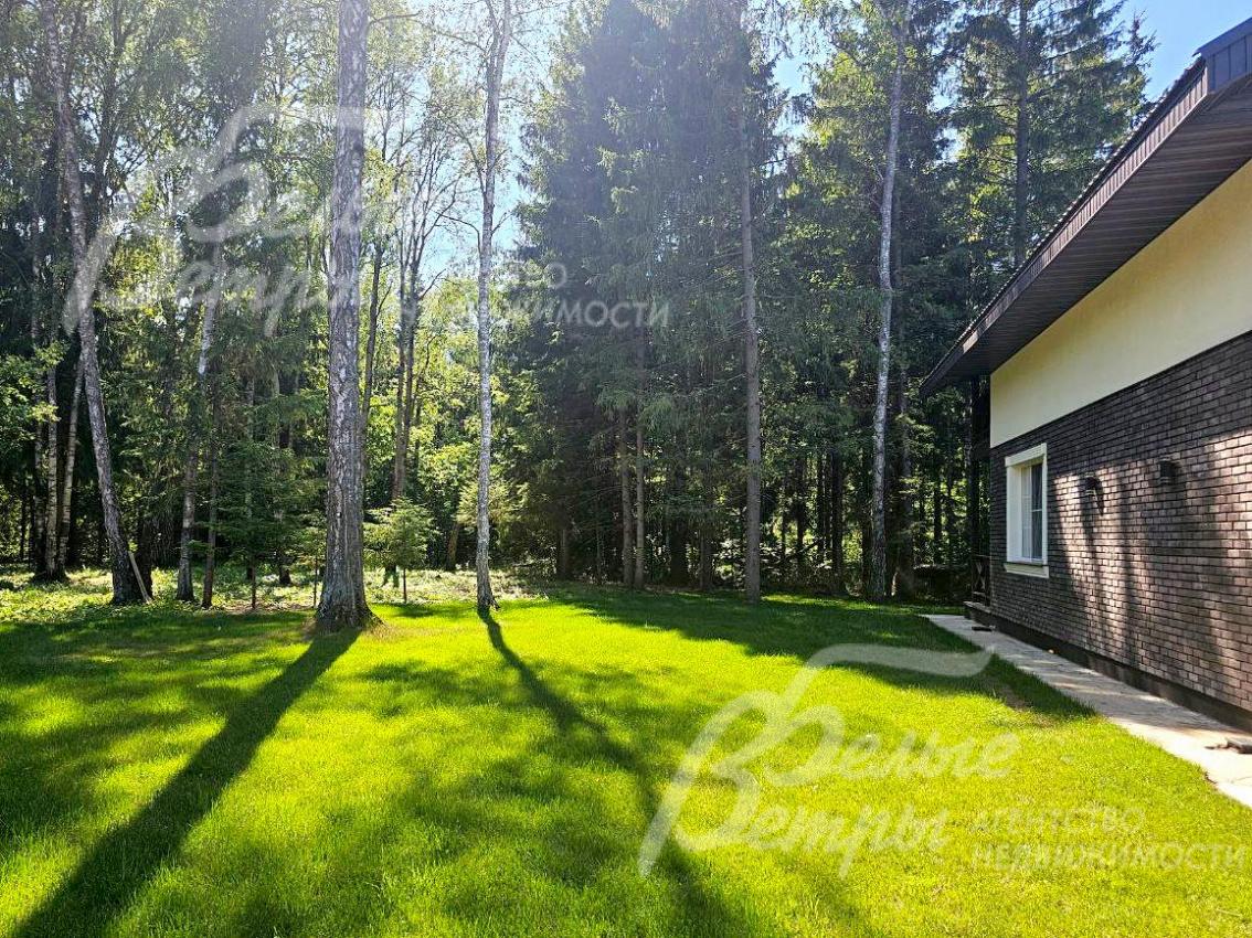 Дом стоит в живописной локации в тупике улицы на лесной поляне с деревьями