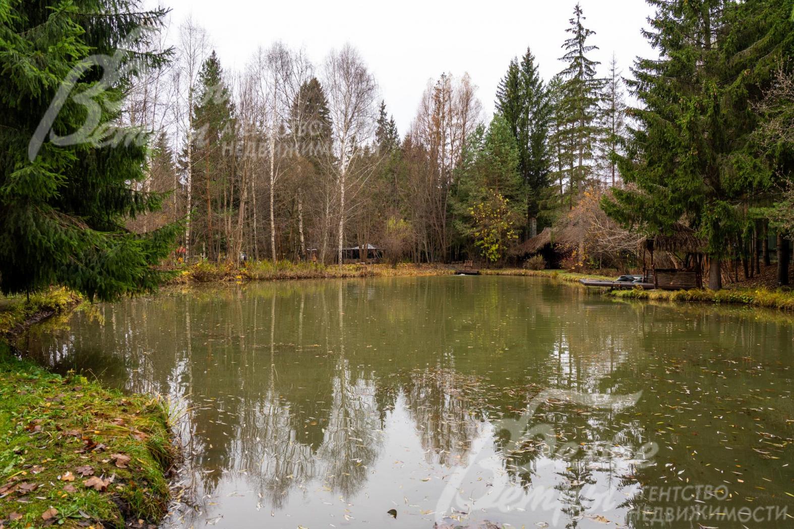 Пруд зарыблен, высажен растительностью по периметру (кувшинки, лилии, камыш и др). На дно опускали пни для обитания сомов. 