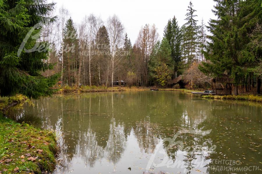 Пруд зарыблен, высажен растительностью по периметру (кувшинки, лилии, камыш и др). На дно опускали пни для обитания сомов. 