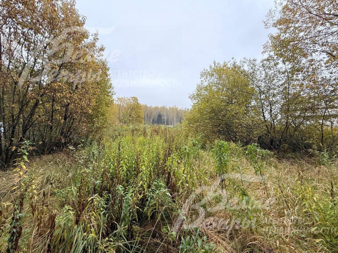 Локация считается лучшей на территории коттеджного посёлка