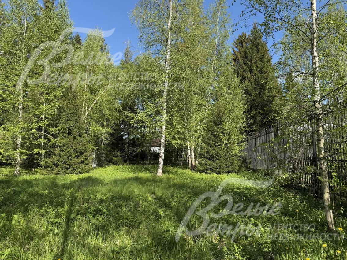 Ровный рельеф участка гармонично дополняют сохранённые лесные деревья, ели и берёзы