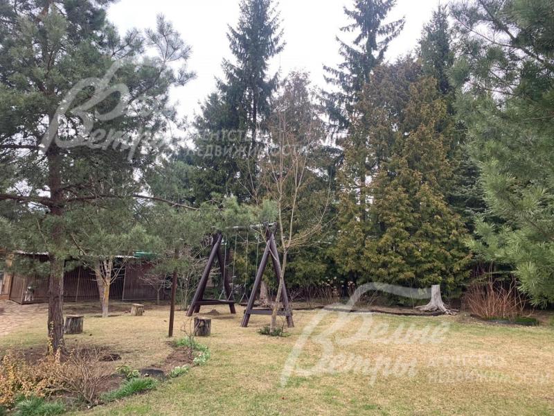 На участке множество взрослых лесных хвойных деревьев