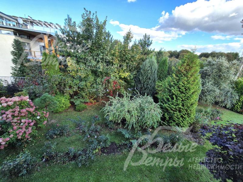 Декоративные цветники и кустарники.