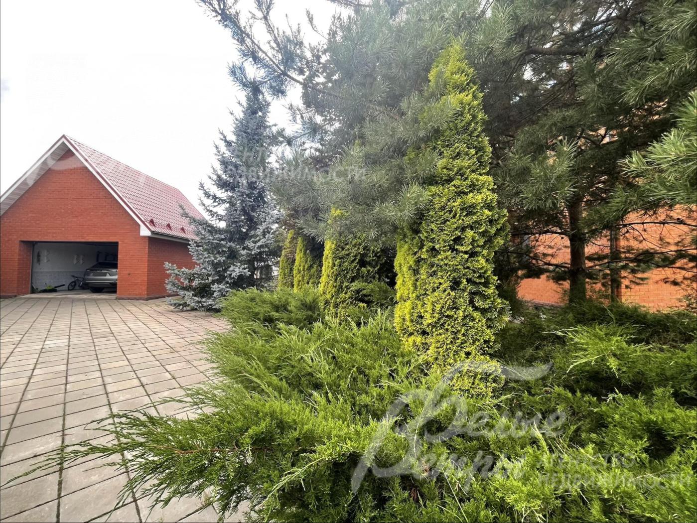 Хвойные деревья и растения по всему участку