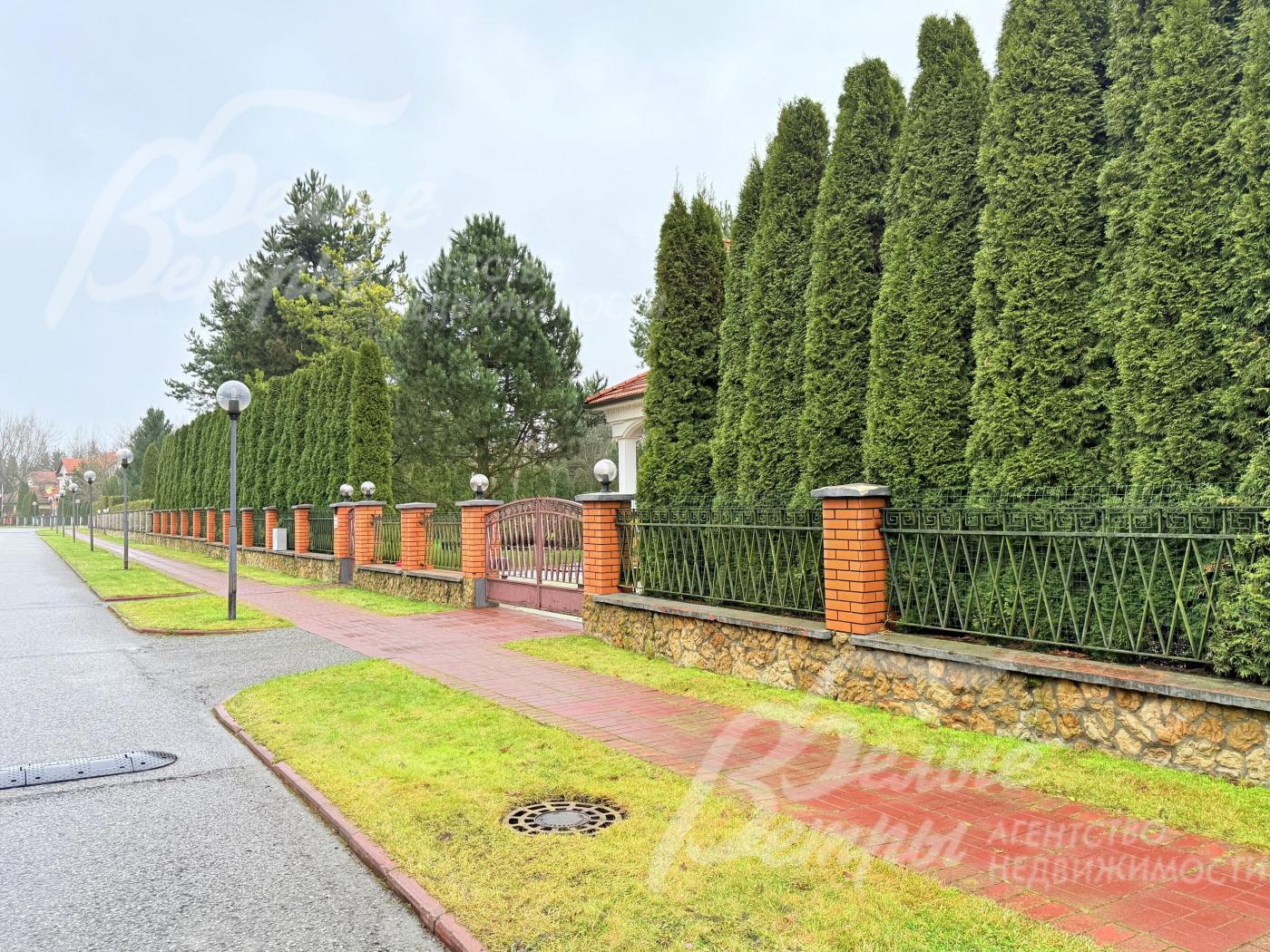 За оградой участка возвышается плотная живая изгородь из высоких ухоженных сосен. Деревья высажены ровными рядами, создавая эффект «зелёной стены» - это не только красиво выглядит, но и обеспечивает приватность территории