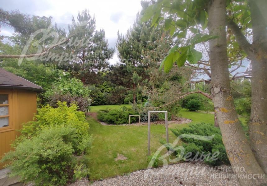 Высажены сосны, серебристые ели, каштан, липа, по периметру участка — туи смарагд и брабант, дикий виноград