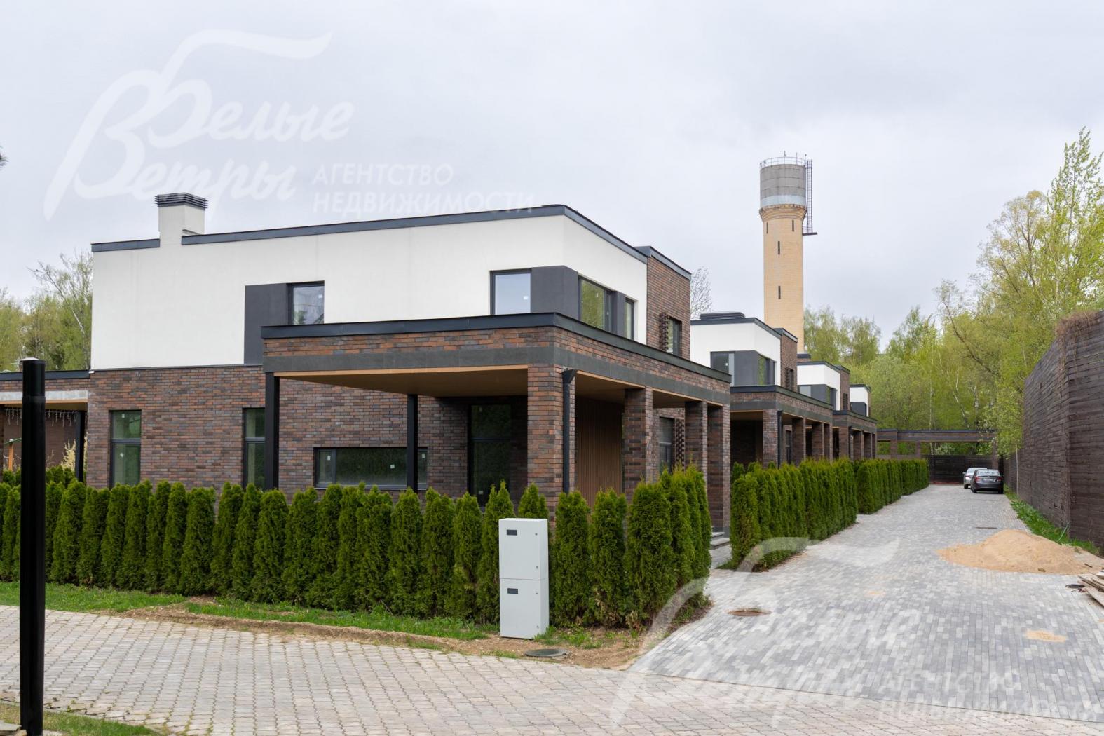 Туи на участке образуют живую изгородь