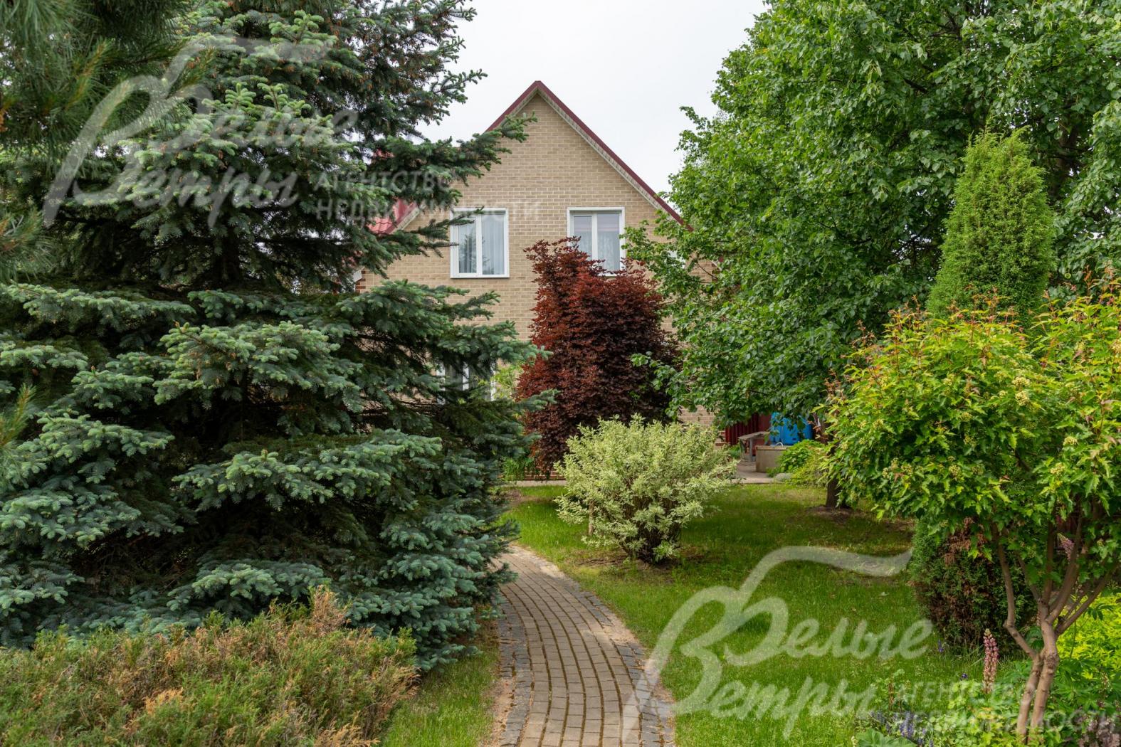 На участке растёт более 15 взрослых сосен разных видов (черная, калифорнийская, горная, кедровая и другие)