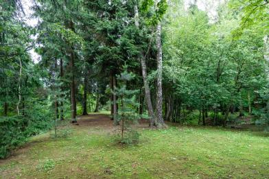 Участок, Таксатор КП (Пенино), 44&nbsp;сот