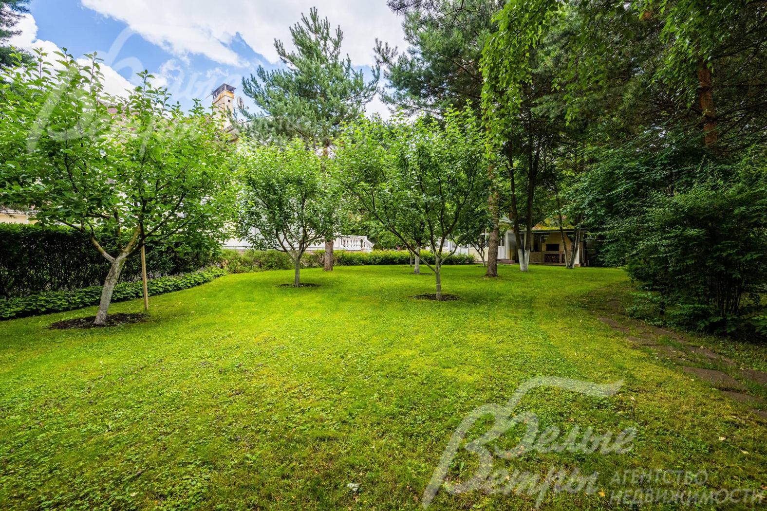 Участок с лесными деревьями (10 сосен, 2 пихты, 10 туй, 2 ели, 2 яблони, много кустарников)