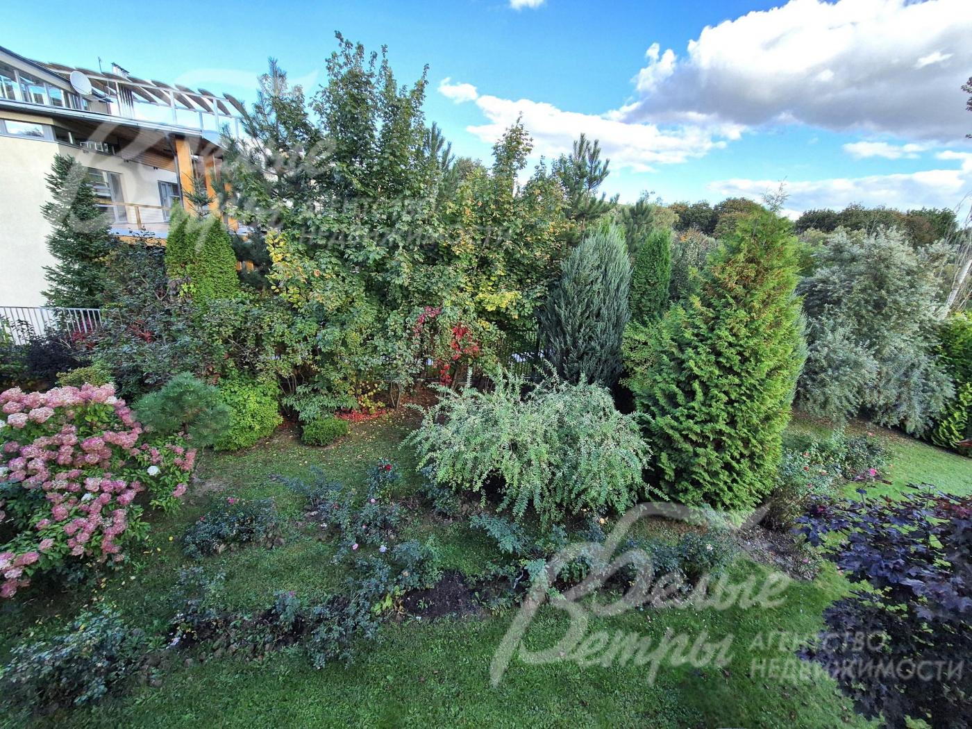 Декоративные цветники и кустарники.