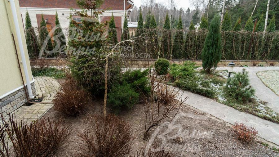 На участке многообразие деревьев и кустарников