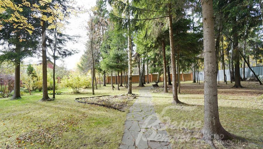 Участок с выходом в лес