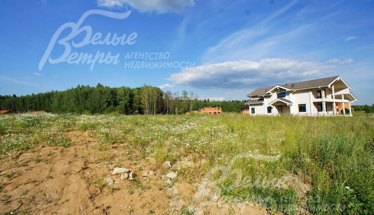 Участок в окружении лесного массива