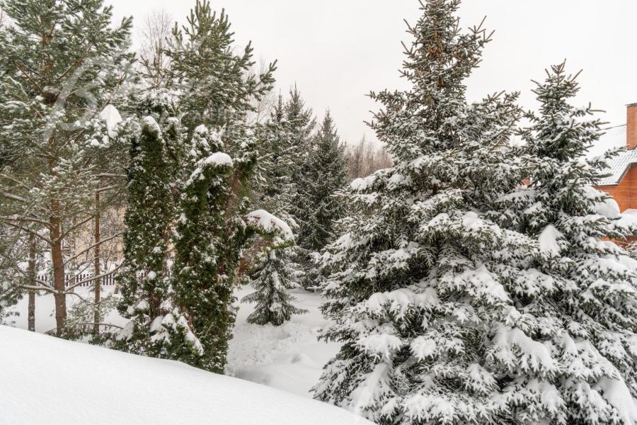 Участок находится в тихом центре коттеджного посёлка