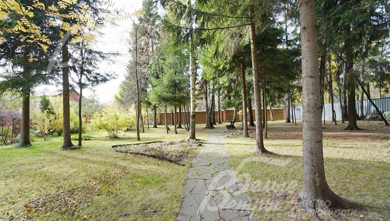 Участок с выходом в лес