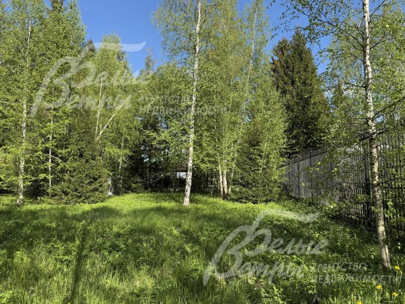 Ровный рельеф участка гармонично дополняют сохранённые лесные деревья, ели и берёзы