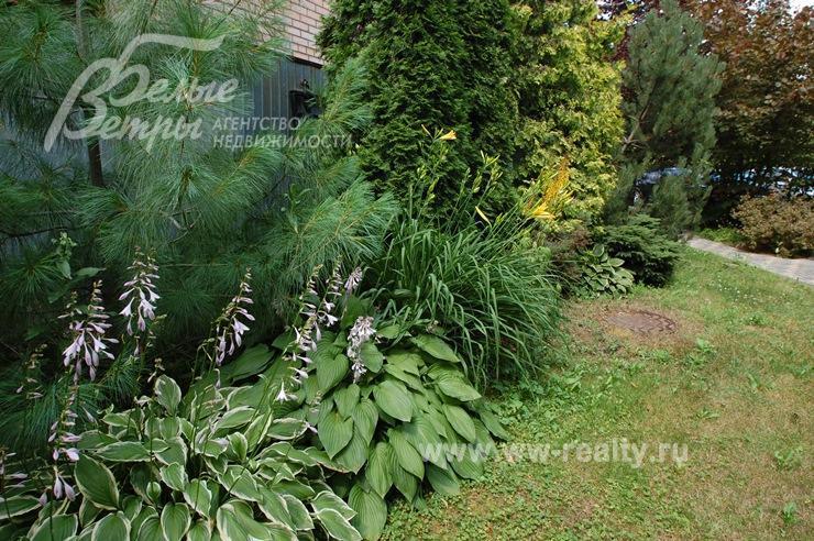 Лесной участок