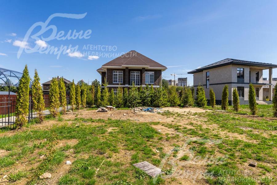 Вдоль забора высажены туи