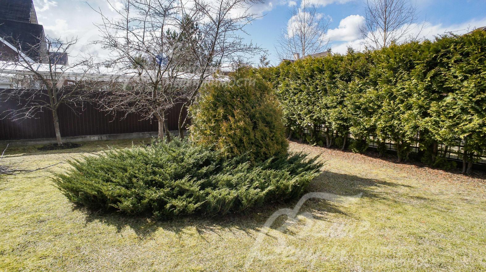 Ровный участок с деревьями