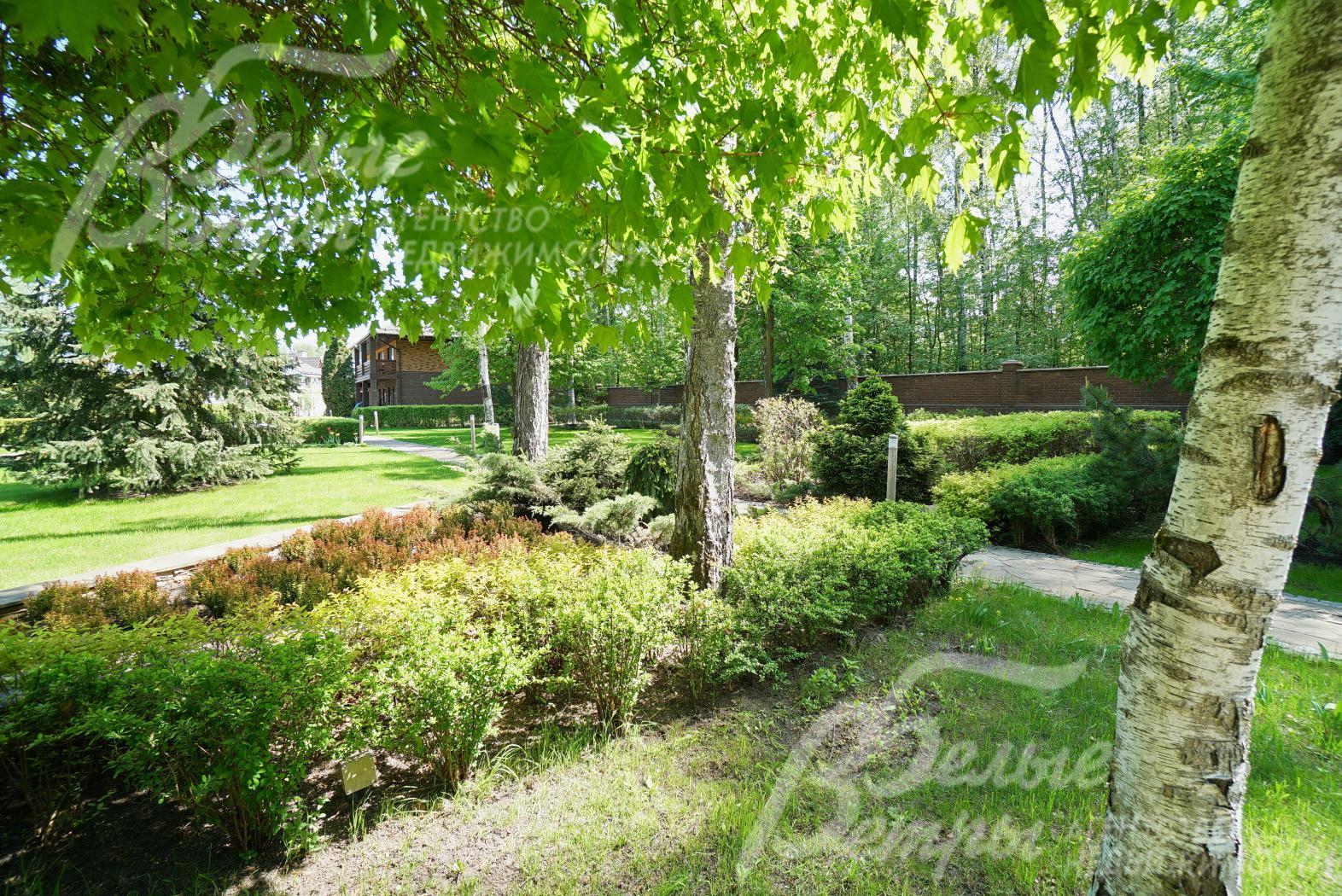 Большое количество декоративных кустарников и деревьев