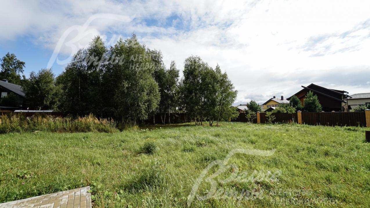 Ровный участок с деревьями