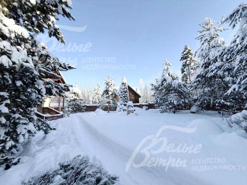 На участке растут корейская кедровая сосна, орешник, можжевельник, голубые ели