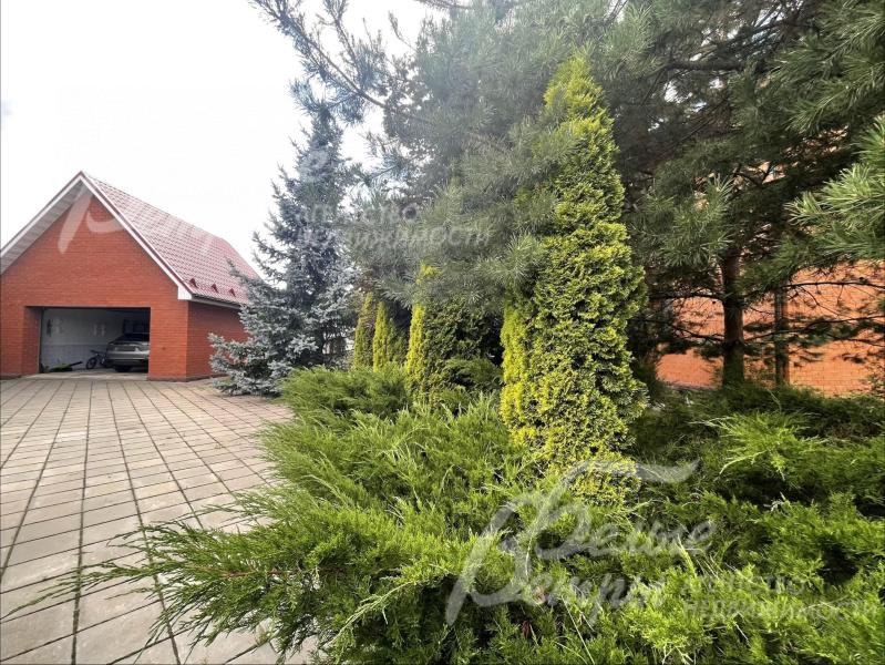 Хвойные деревья и растения по всему участку