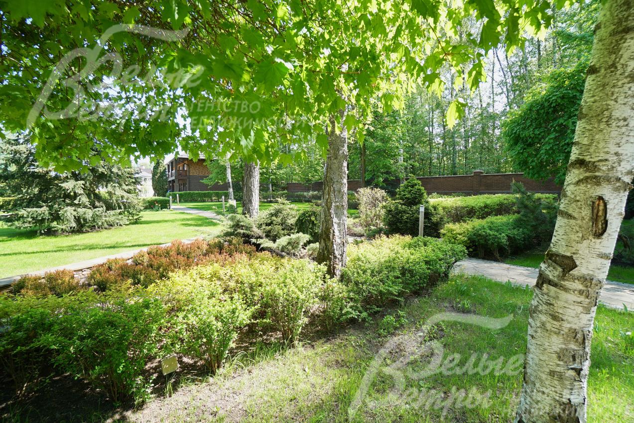 Большое количество декоративных кустарников и деревьев