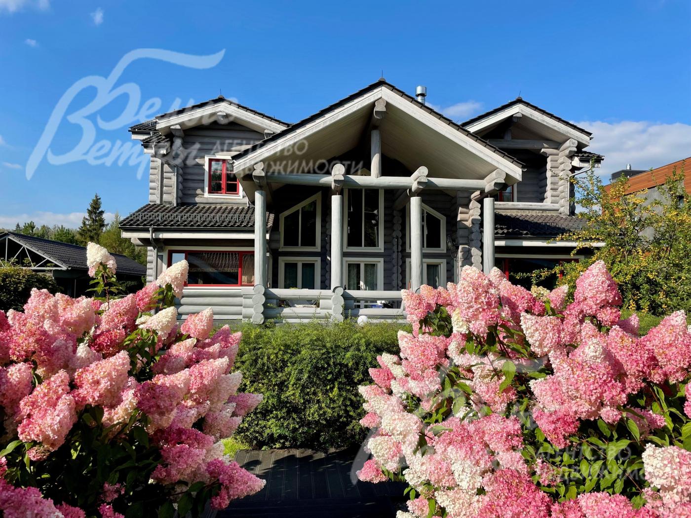 Красивый участок 24 сотки с цветущими гортензиями.