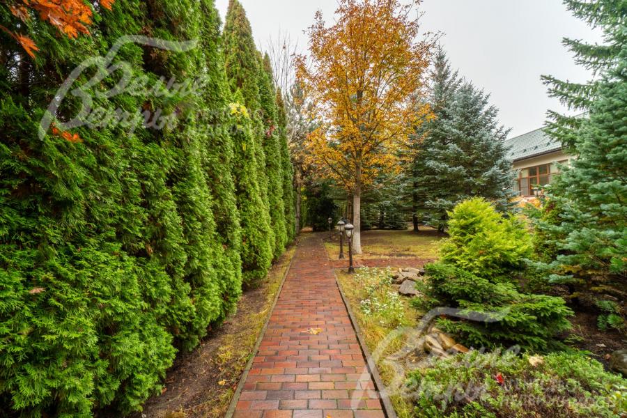 Границы участка оформлены крупномерными туями, создающими естественную ограду